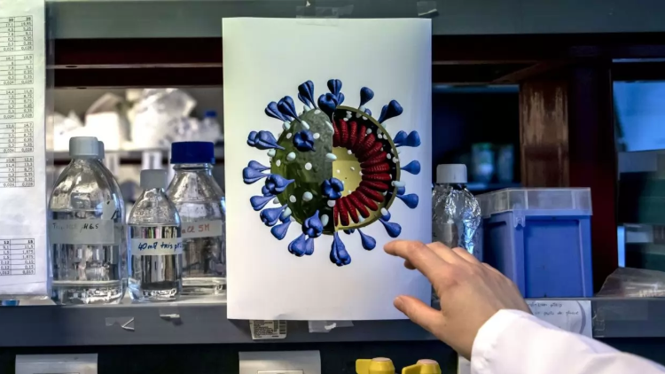 Primera prueba de vacuna experimental de Pfizer contra el COVID-19 da resultados positivos