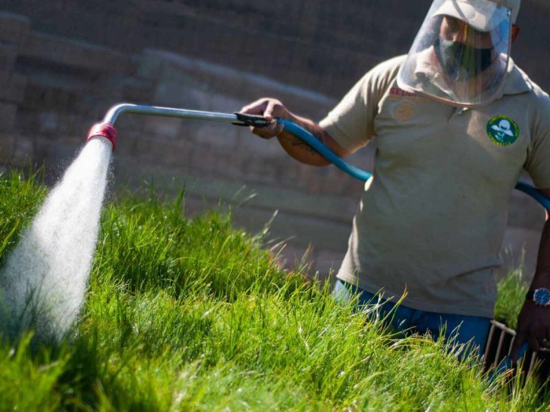 Instituto Nacional de Ecología y Cambio Climático sale en Defensa de Sembrando Vida