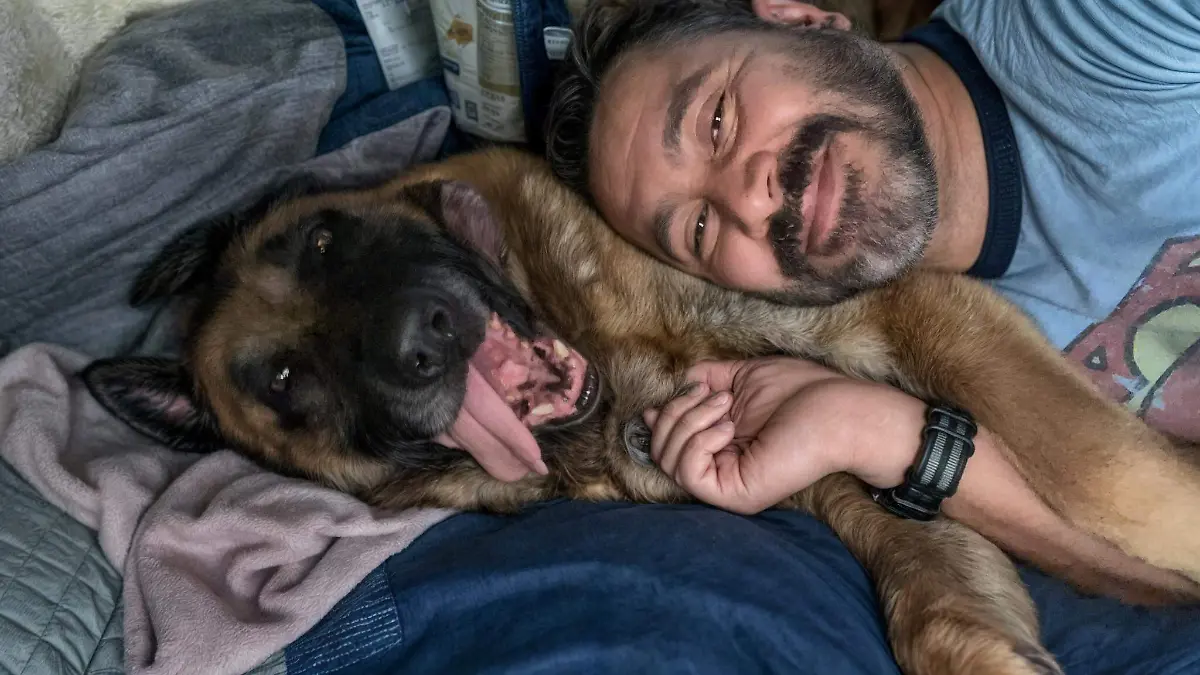 En Baja California mayoría de mascotas, son perros