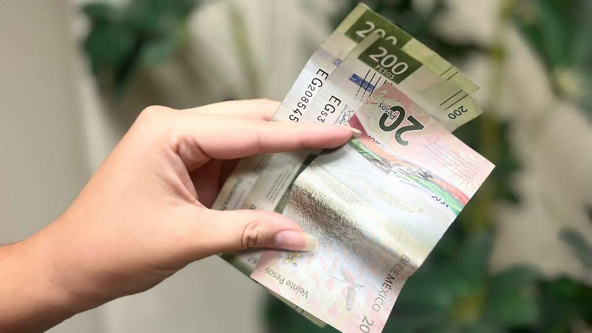 Promedia 800 pesos salario diario en Baja California